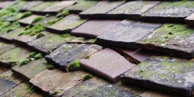 Steeple Gidding roof repair costs